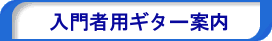 入門者用ギター案内